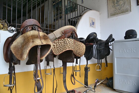 Batismo Equestre para 2 | Coudelaria Rita Cotrim, Golegã (Santarém)
