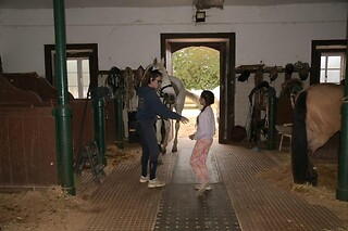 Batismo Equestre para 2 | Coudelaria Rita Cotrim, Golegã (Santarém)