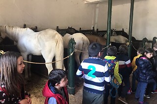 Batismo Equestre para 2 | Coudelaria Rita Cotrim, Golegã (Santarém)