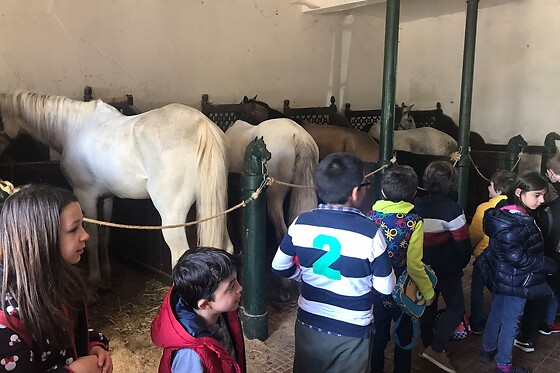 Batismo Equestre para 2 | Coudelaria Rita Cotrim, Golegã (Santarém)
