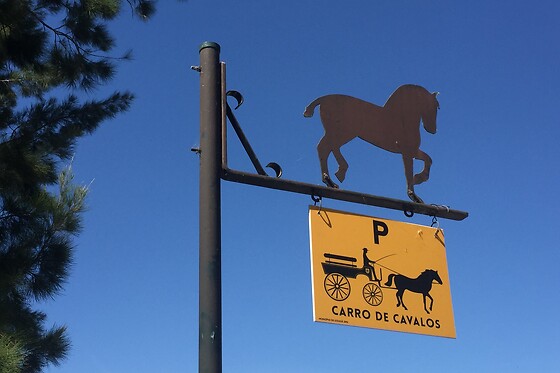 Batismo Equestre para 2 | Coudelaria Rita Cotrim, Golegã (Santarém)