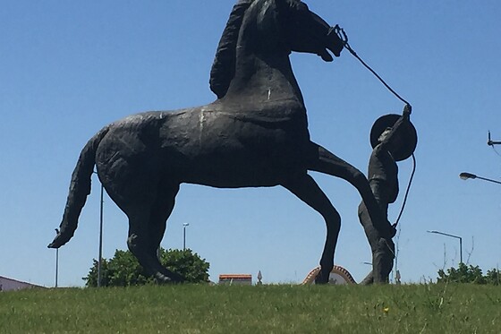 Batismo Equestre para 2 | Coudelaria Rita Cotrim, Golegã (Santarém)