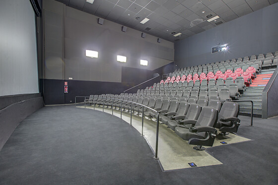 CINESA - photo 11