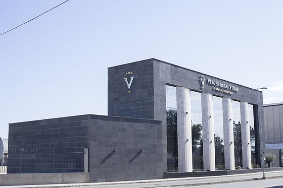 VIRGEN DE LAS VIÑAS - photo 15