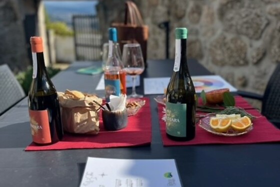 Enoturismo a 2 na Villa Seara | 1 noite em quarto duplo com prova de vinho e tapas | Celorico de Basto