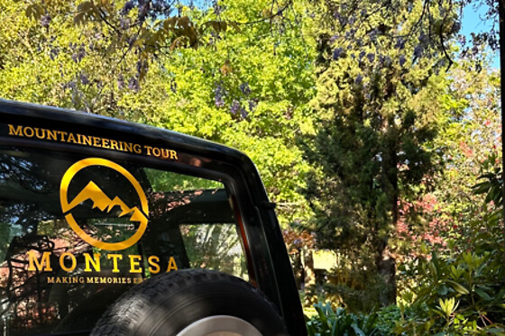 Tour de Jipe 4x4 com Guia para 1 | Lagoas e Cascatas no Parque Nacional Peneda-Gerês, 4h | Montesa (Arcos de Valdevez)
