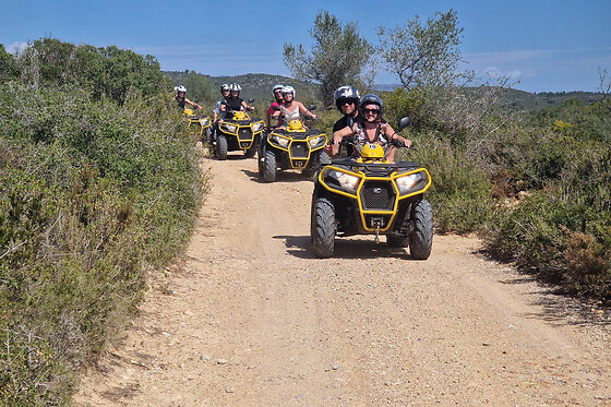 QUAD UNIVERSE - photo 1