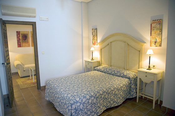 HOTEL PALACIO LAS MANILLAS - photo 6