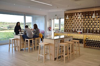 Visita à Adega, prova de vinhos e degustação regional para 1 | Ervideira Wine - Reguengos de Monsaraz