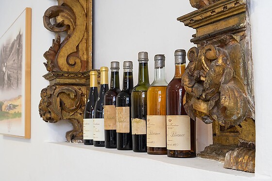 Ervideira Wine - photo 5