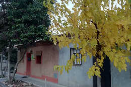 CASA RURAL LOS PINOS