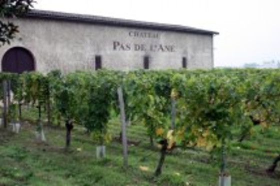 Vinotaste - photo 1