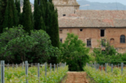 BODEGAS PAGO DE LARRAINZAR