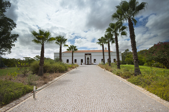 Alentejo Star Hotel**** - photo 4