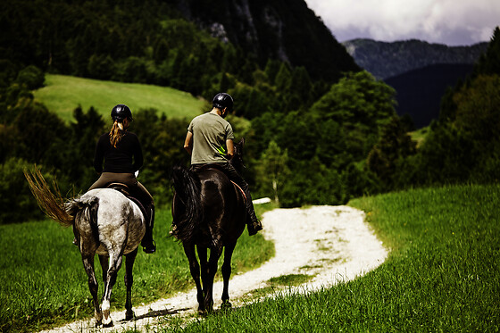 TRINCABEIRAS - photo 6