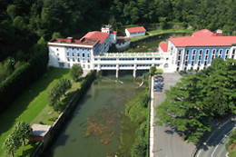 BALNEARIO DE CESTONA