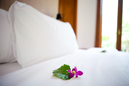 HOSTAL ADELA