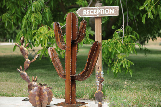Dejeunez Sous L'arbre - photo 16