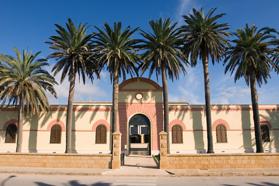 Mahara Hotel - photo 3