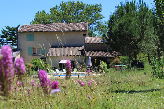 Gites de la Ferme du Bourdil - photo 2