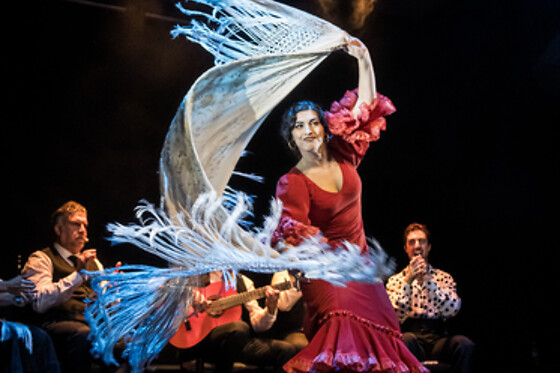 TEATRO FLAMENCO GRANADA - photo 6