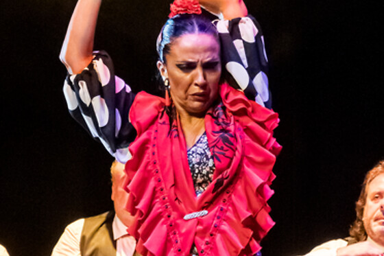 TEATRO FLAMENCO GRANADA - photo 7