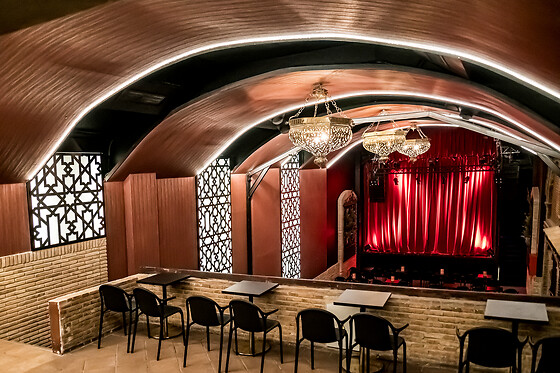 TEATRO FLAMENCO GRANADA - photo 0