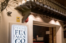 TEATRO FLAMENCO GRANADA
