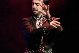 TEATRO FLAMENCO GRANADA