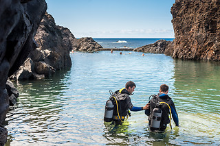 Mergulhe com tubarões e raias no Aquário da Madeira | Madeira Nature Experience - Porto Moniz