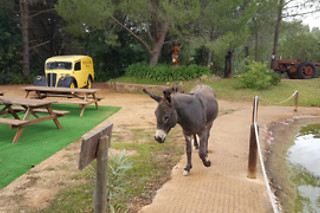 Parques temáticos