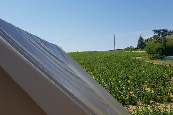 La Grappe Fleurie - photo 9