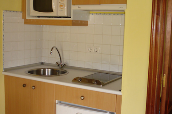 APARTAMENTOS RURALES EL MOLIN DE PANIZAL - photo 1
