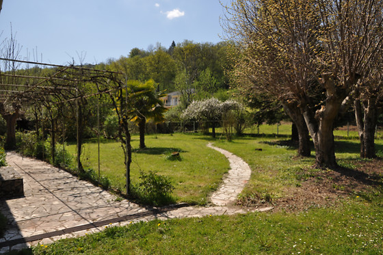 Le Curieux - photo 4
