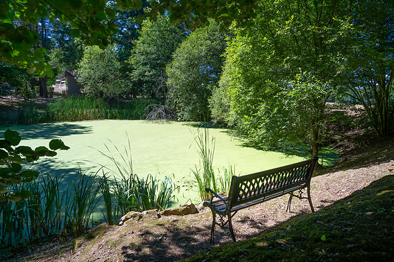 Vendée Yourte - photo 6