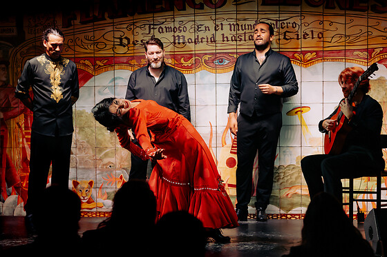 FLAMENCO DE LEONES - photo 5