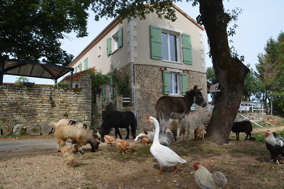 La Ferme des Vergnes - photo 3