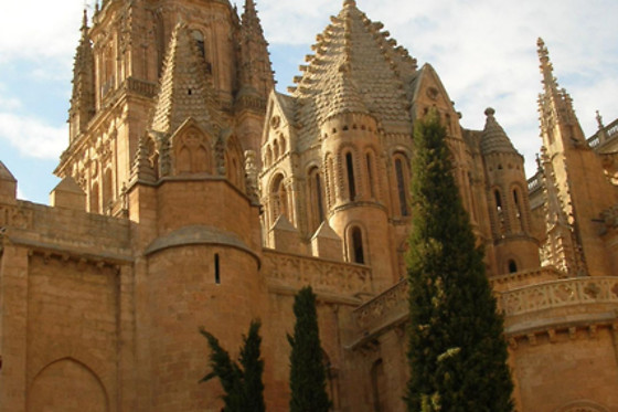 SALAMANCA ESPECTACULAR - photo 0