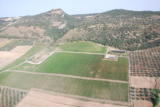 BODEGAS MOROSANTO - photo 0