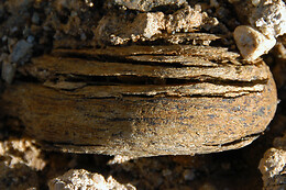 Antichi Vigneti di Cantalupo