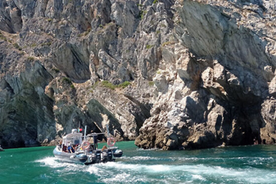 Passeio de Barco + Tour de Jipe na Arrábida | 1 Pessoa - 8h | Arrabida Life