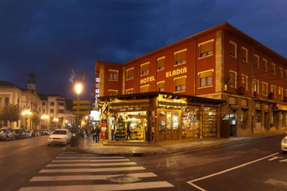 HOTEL ELADIA - photo 0