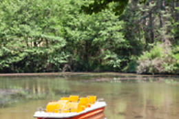 Camping Cœur d' Ardèche