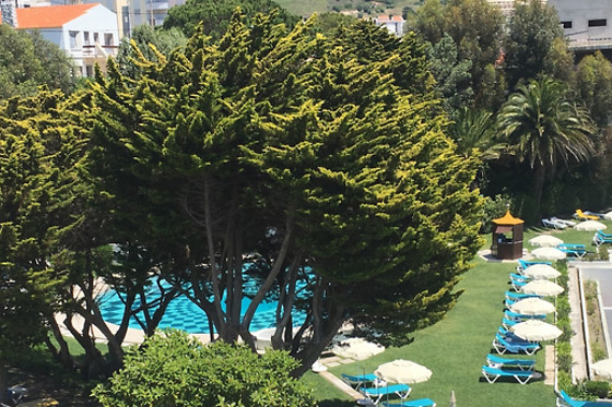 HOTEL DO MAR - photo 5