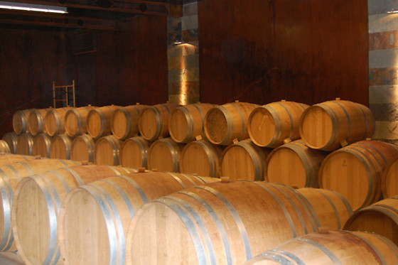 BODEGA FINCA CARDABA - photo 0