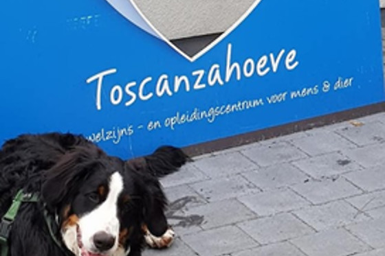 Toscanzahoeve - photo 2