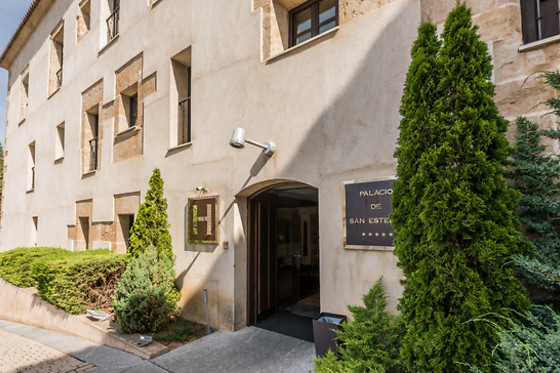 HOSPES PALACIO DE SAN ESTEBAN - photo 3