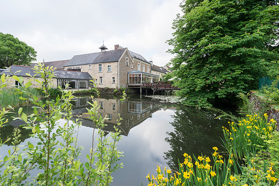 Auberge du Manet - photo 16