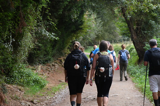 CAMINO COMPOSTELA - photo 9