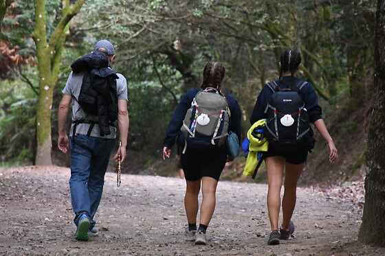 CAMINO COMPOSTELA - photo 10
